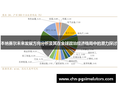 本纳赛尔未来发展方向分析及其在全球政治经济格局中的潜力探讨