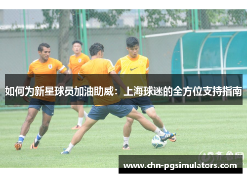 如何为新星球员加油助威：上海球迷的全方位支持指南