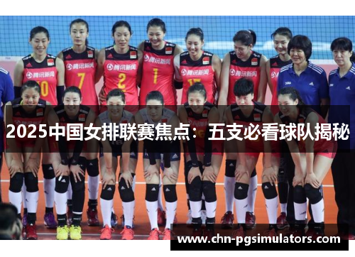 2025中国女排联赛焦点：五支必看球队揭秘