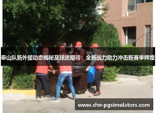 泰山队新外援动态揭秘及球迷期待：全新战力助力冲击新赛季辉煌