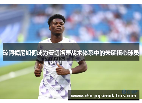 琼阿梅尼如何成为安切洛蒂战术体系中的关键核心球员
