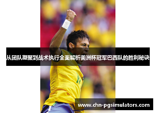 从团队凝聚到战术执行全面解析美洲杯冠军巴西队的胜利秘诀