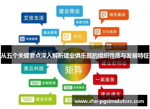 从五个关键要点深入解析建业俱乐部的组织性质与发展特征