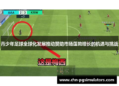 青少年足球全球化发展推动赞助市场蓬勃增长的机遇与挑战