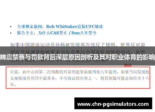魏震禁赛与罚款背后深层原因剖析及其对职业体育的影响