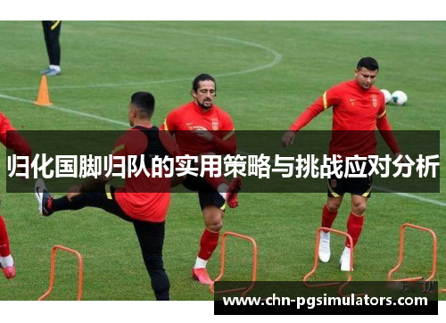 归化国脚归队的实用策略与挑战应对分析