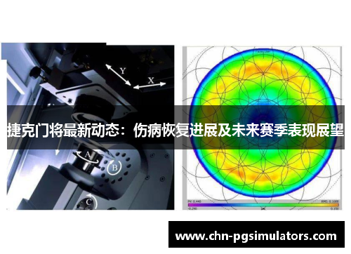 捷克门将最新动态：伤病恢复进展及未来赛季表现展望
