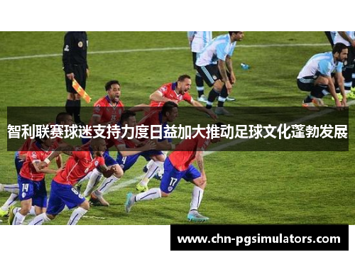 智利联赛球迷支持力度日益加大推动足球文化蓬勃发展