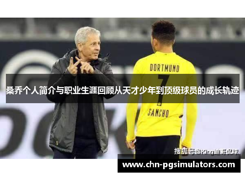 桑乔个人简介与职业生涯回顾从天才少年到顶级球员的成长轨迹